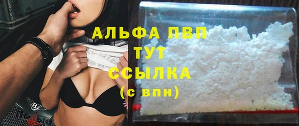 ГАЛЛЮЦИНОГЕННЫЕ ГРИБЫ Бородино