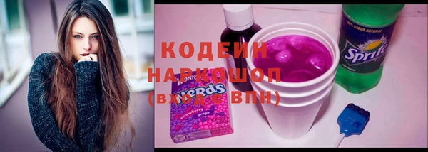 ГАЛЛЮЦИНОГЕННЫЕ ГРИБЫ Бородино