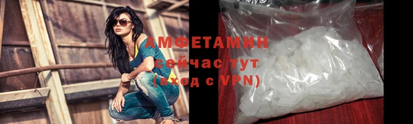ГАЛЛЮЦИНОГЕННЫЕ ГРИБЫ Бородино