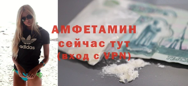 ГАЛЛЮЦИНОГЕННЫЕ ГРИБЫ Бородино
