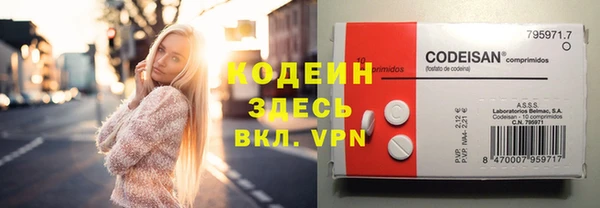 ГАЛЛЮЦИНОГЕННЫЕ ГРИБЫ Бородино