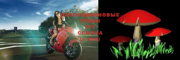 мяу мяу мука Карпинск