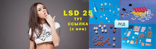 ГАЛЛЮЦИНОГЕННЫЕ ГРИБЫ Бородино