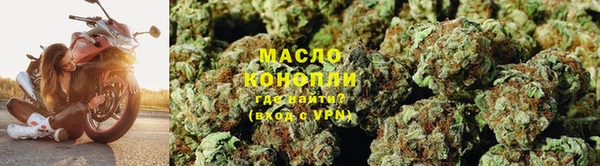 ГАЛЛЮЦИНОГЕННЫЕ ГРИБЫ Бородино
