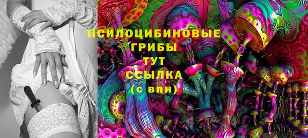 ГАЛЛЮЦИНОГЕННЫЕ ГРИБЫ Бородино