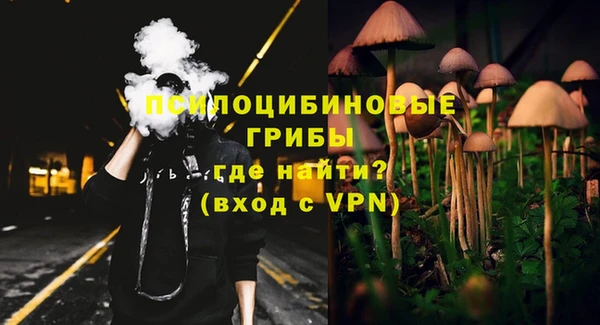 ГАЛЛЮЦИНОГЕННЫЕ ГРИБЫ Бородино