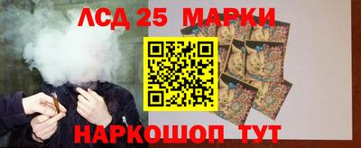прущие грибы Анапа