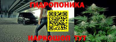 прущие грибы Анапа