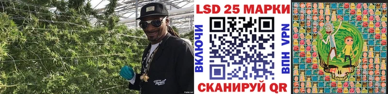 закладки Хасавюрт Марки NBOMe 1500мкг