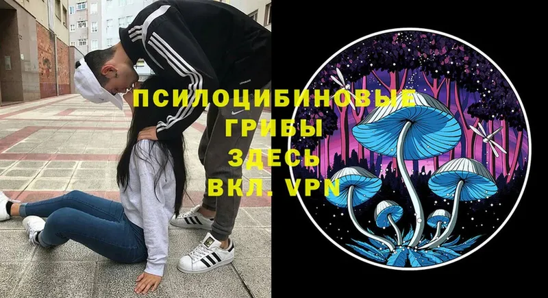 Галлюциногенные грибы прущие грибы  Хасавюрт 
