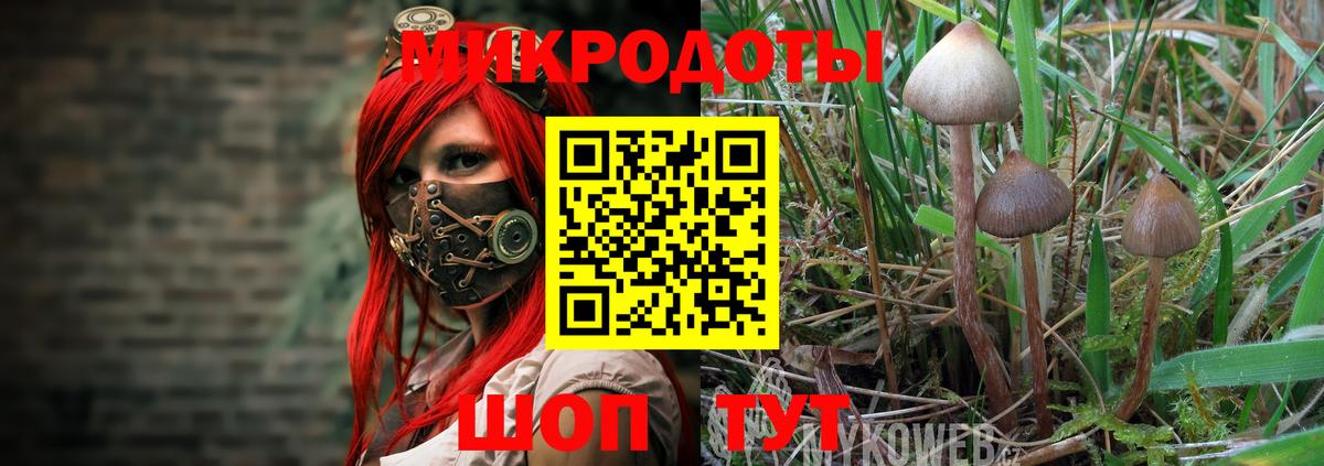 Псилоцибиновые грибы мухоморы Хасавюрт