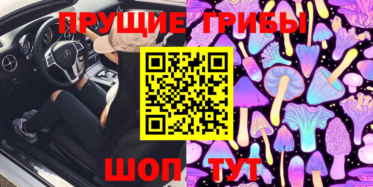 Хасавюрт  Псилоцибиновые грибы Psilocybe  Вход с VPN 